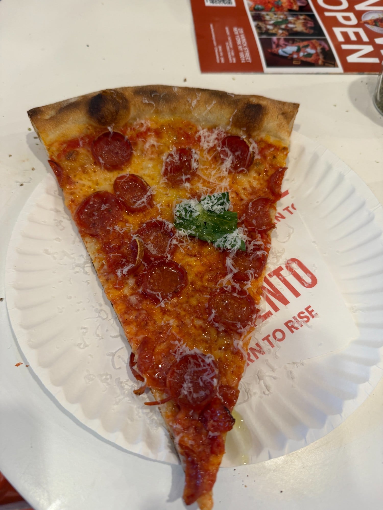 Fermento pizza